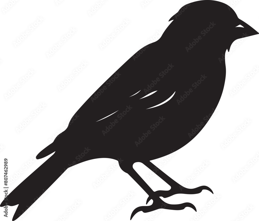 Finch Silhouette Vector Illustration White Background Finch Silhouette Vector Illustration White Background