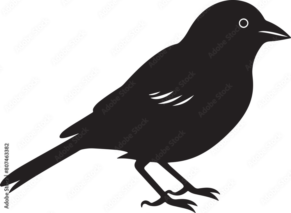 Fototapeta premium Finch Silhouette Vector Illustration White Background