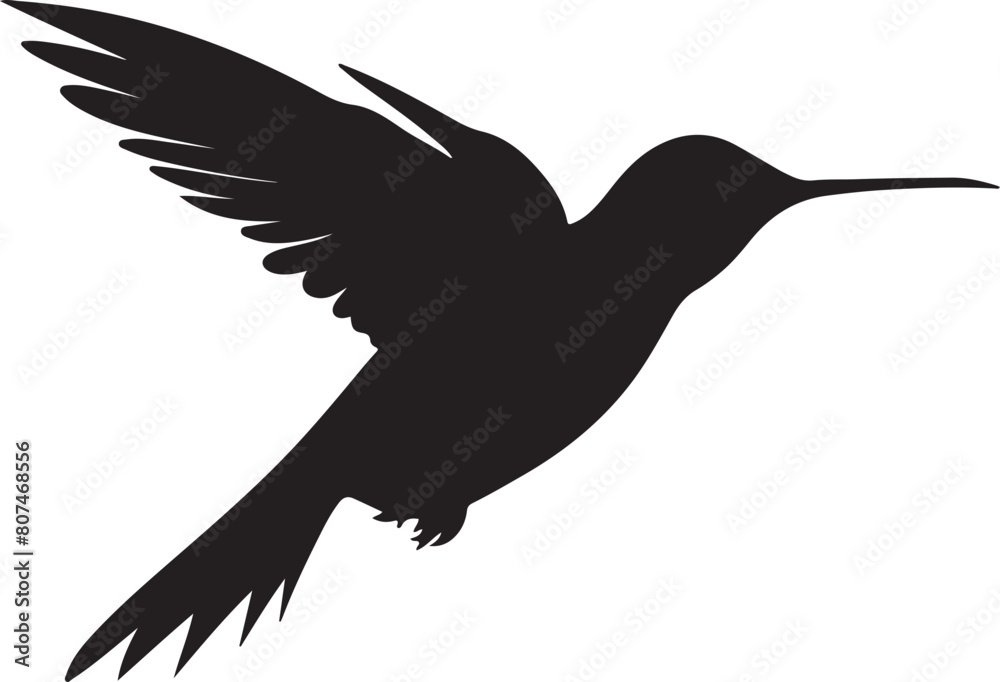 Hummingbird Silhouette Vector Illustration White Background Hummingbird Silhouette Vector Illustration White Background