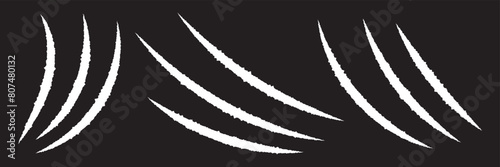 Claw scratch vector illustration. Set of cruel animal scratches horror and grunge concept in silhouette isolated. Animal tiger scratches signs.
