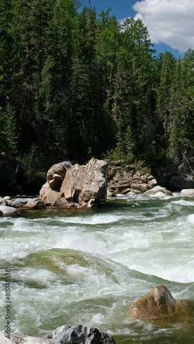 Vertical video of Altai river Chulyshman. On the river banks there is siberian larch taiga forest. photo