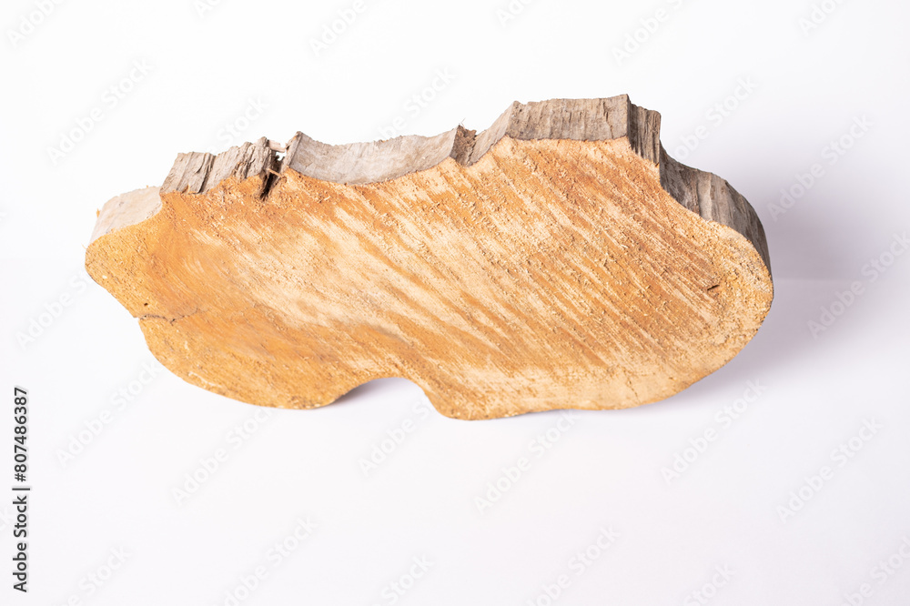 Cross section of a crooked tree trunk with growth rings on a white background. Close-up.