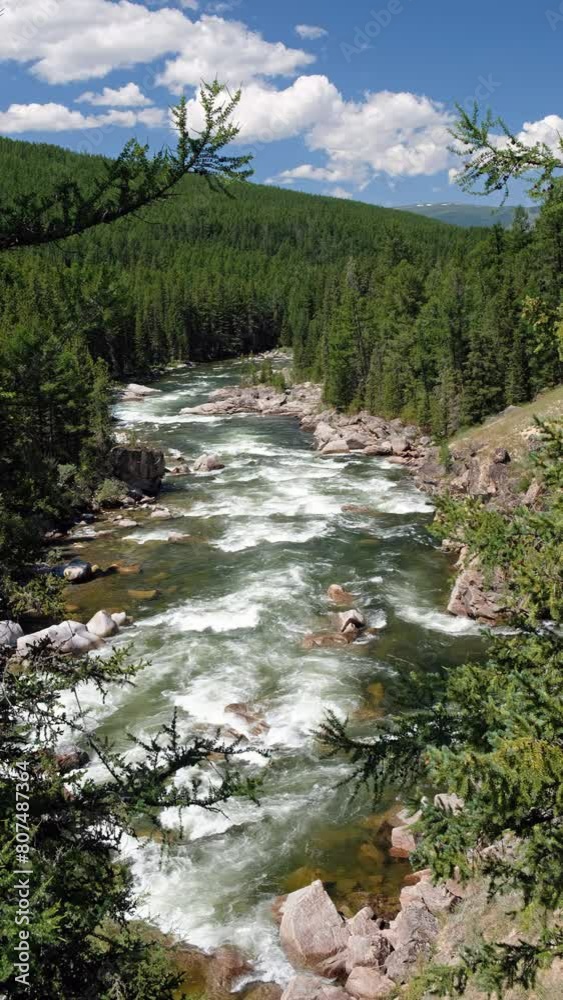Vertical video of Altai river Chulyshman. On the river banks there is siberian larch taiga forest. Vertical video of Altai river Chulyshman. On the river banks there is siberian larch taiga forest.