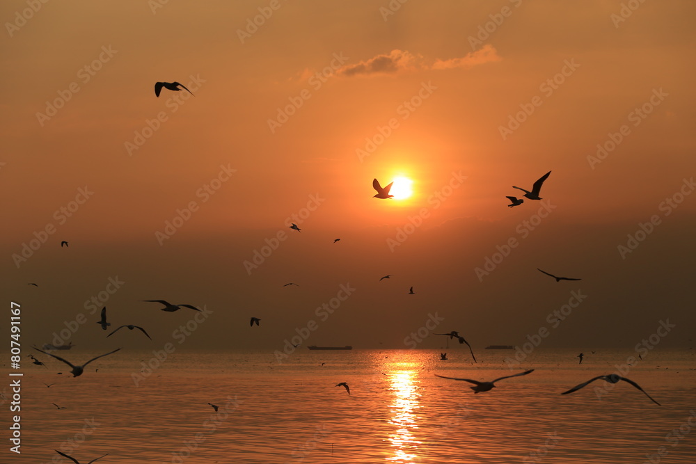 Flock of seagulls flying in the sky Welcoming tourists at Bang Pu Recreation Center Samut Prakan Province, Thailand 