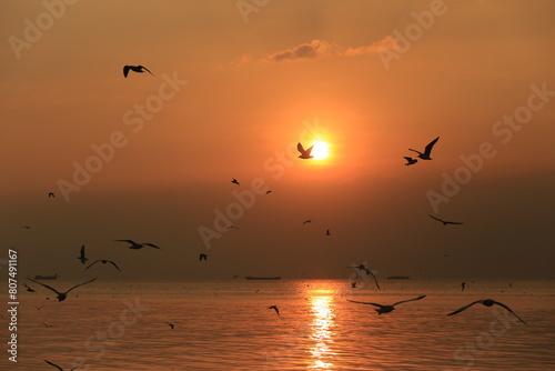 Flock of seagulls flying in the sky Welcoming tourists at Bang Pu Recreation Center Samut Prakan Province, Thailand 