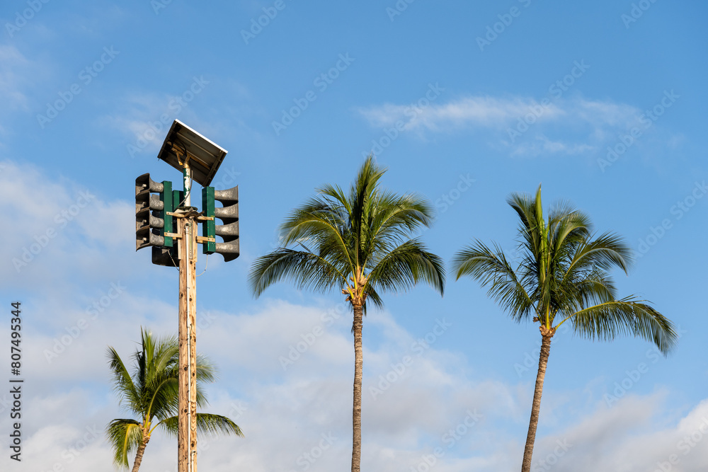 Tsunami waves in maui
