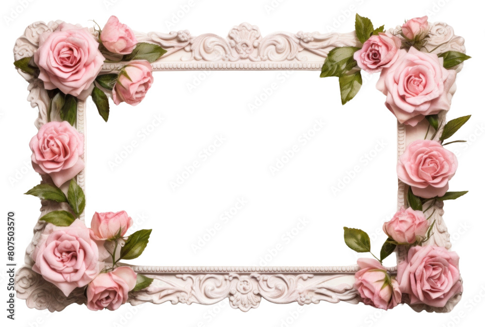 PNG Rose flower plant frame.