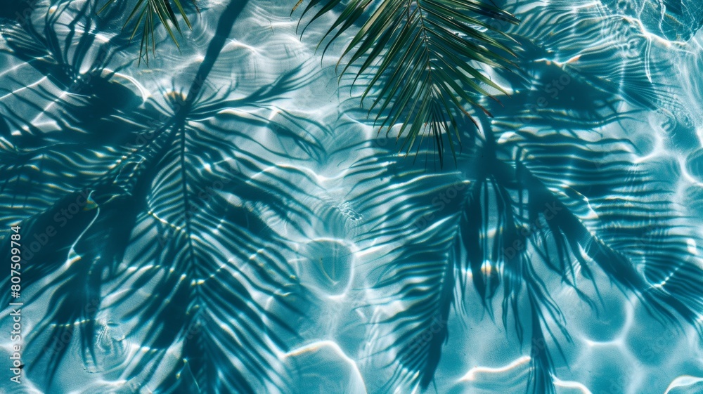 Top view of tropical leaf shadow on pool water surface. Beautiful abstract background concept banner. Top view of tropical leaf shadow on pool water surface. Beautiful abstract background concept banner.