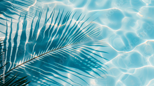Top view of tropical leaf shadow on pool water surface. Beautiful abstract background concept banner.