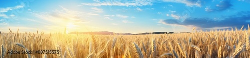 golden wheat field at sunset