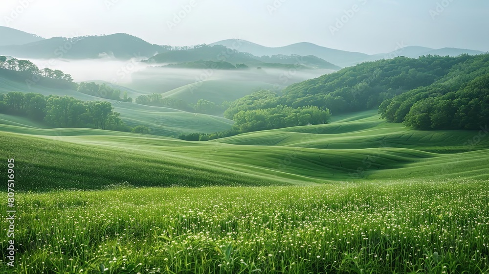 green valley landscape photography in the foggy mountains