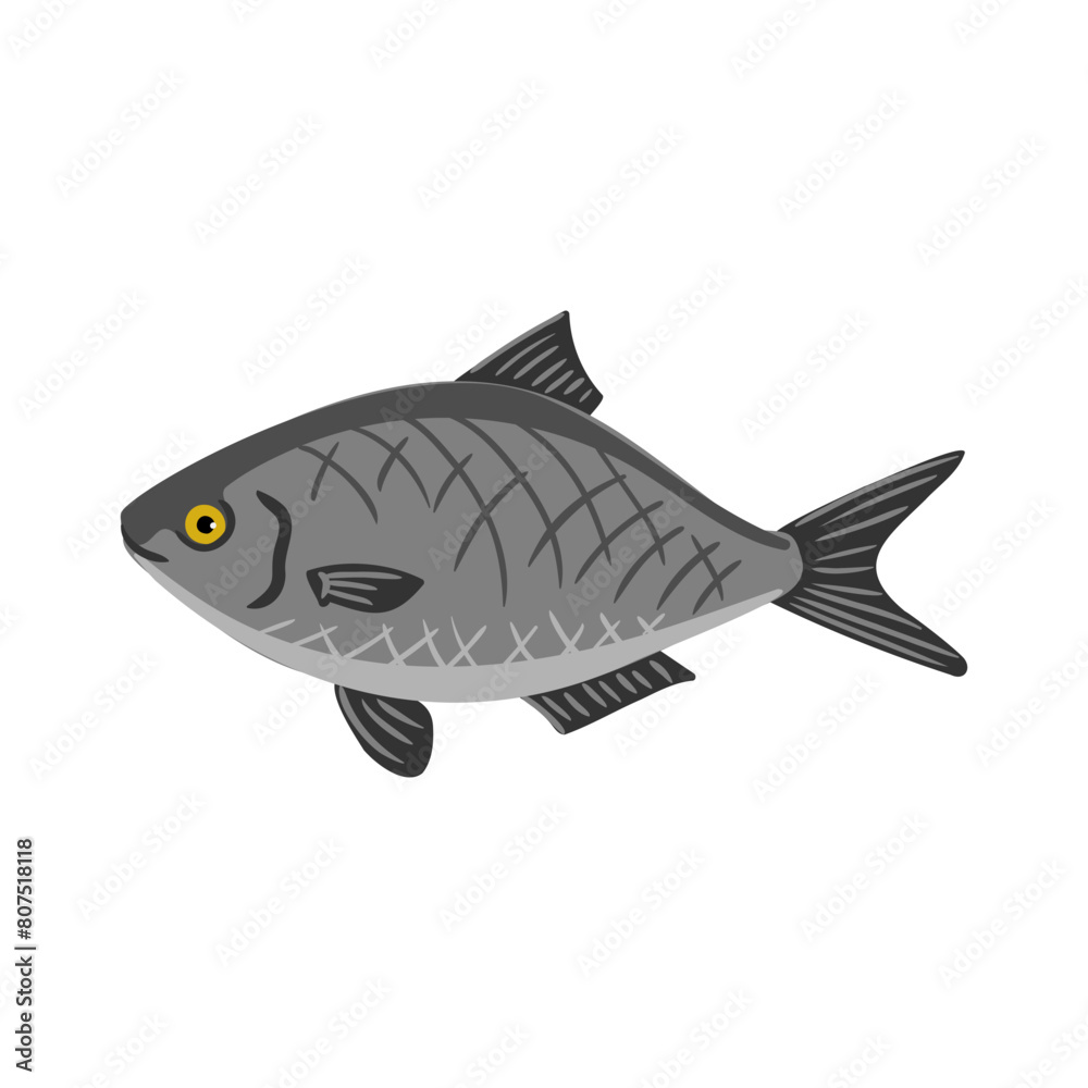 Fototapeta premium Vector drawing fish, freshwater bream isolated at white background, hand drawn vector illustration