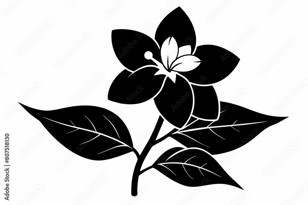 jasmine black and white flower silhouette on white background, Vector illustration, bird, icon, svg, characters, Holiday t shirt, Hand drawn trendy Vector illustration, flower jasmine black and white flower silhouette on white background, Vector illustration, bird, icon, svg, characters, Holiday t shirt, Hand drawn trendy Vector illustration, flower