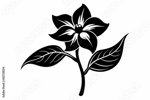 jasmine black and white flower silhouette on white background, Vector illustration, bird, icon, svg, characters, Holiday t shirt, Hand drawn trendy Vector illustration, flower