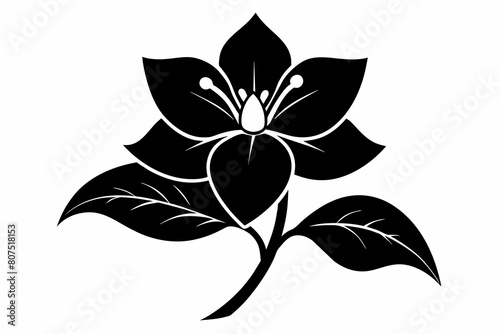 jasmine black and white flower silhouette on white background, Vector illustration, bird, icon, svg, characters, Holiday t shirt, Hand drawn trendy Vector illustration, flower