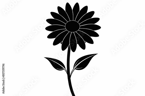 Daisy black and white flower silhouette on white background, Vector illustration, bird, icon, svg, characters, Holiday t shirt, Hand drawn trendy Vector illustration, Rose flower