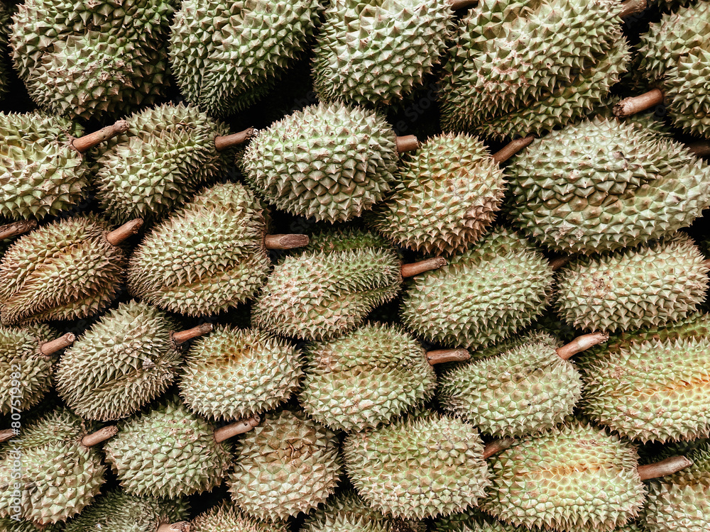 Durian at the market,durians stacked in layers, durians arranged for sale Durian at the market,durians stacked in layers, durians arranged for sale