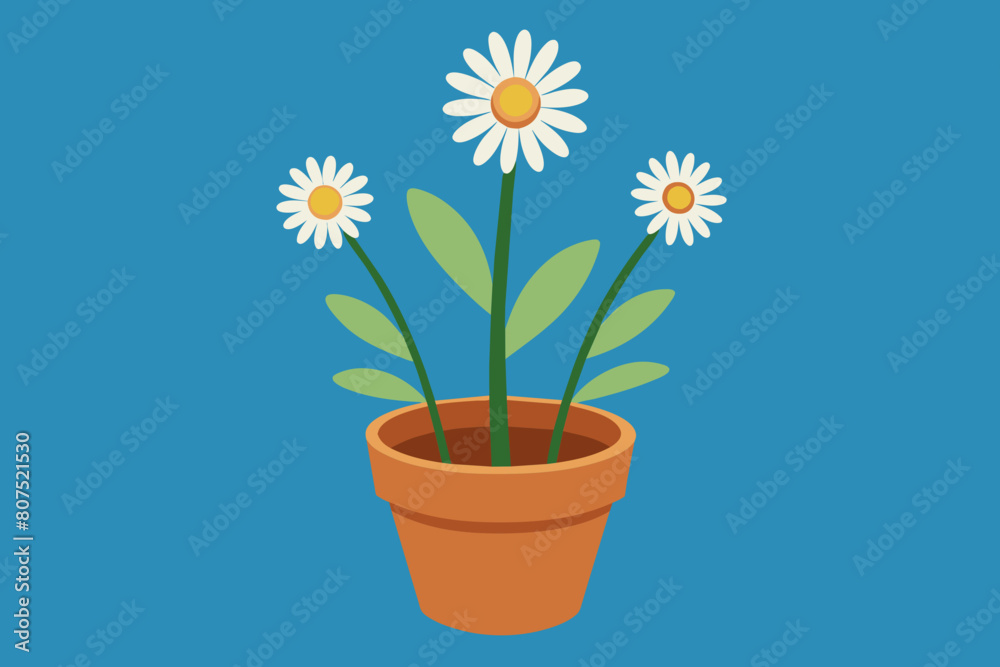 Daisy flowers in pots Vector illustration on white background, silhouette, bird, icon, svg, characters, Holiday t shirt, Hand drawn trendy Vector illustration, Rose flower Daisy flowers in pots Vector illustration on white background, silhouette, bird, icon, svg, characters, Holiday t shirt, Hand drawn trendy Vector illustration, Rose flower