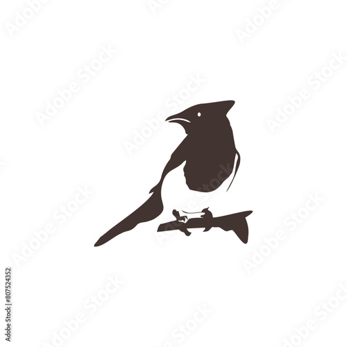 Eagle phoenix animal bird silhouette logo. American falcon feather sitting art design. Black crow or raven wing bagde graphic tattoo wildlife. Hand drawn hawk hunting skecth logotype illustration  photo