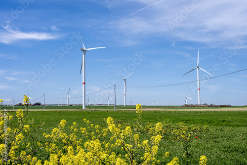 Wind turbines and some flowering rapeseed seen in Puglia, Italy