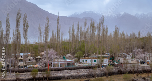 Panoramic view of camping sites and resorts in Leh, Ladakh. Landscape view of rocky land and apricot trees surrounded by Himalayas and Dramatic clouds.
