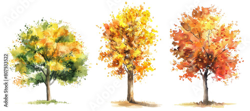tree or forest side view isolated on white background for landscape and architecture drawing,elements for environment and garden,botanical for section in autumn