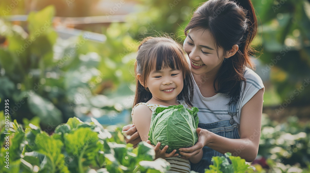 mother picking fresh vegetable with her daughter mother picking fresh vegetable with her daughter