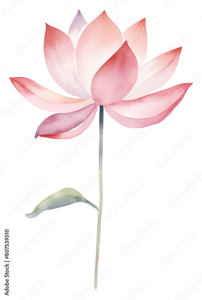 PNG Minimal cute lotus flower petal plant.