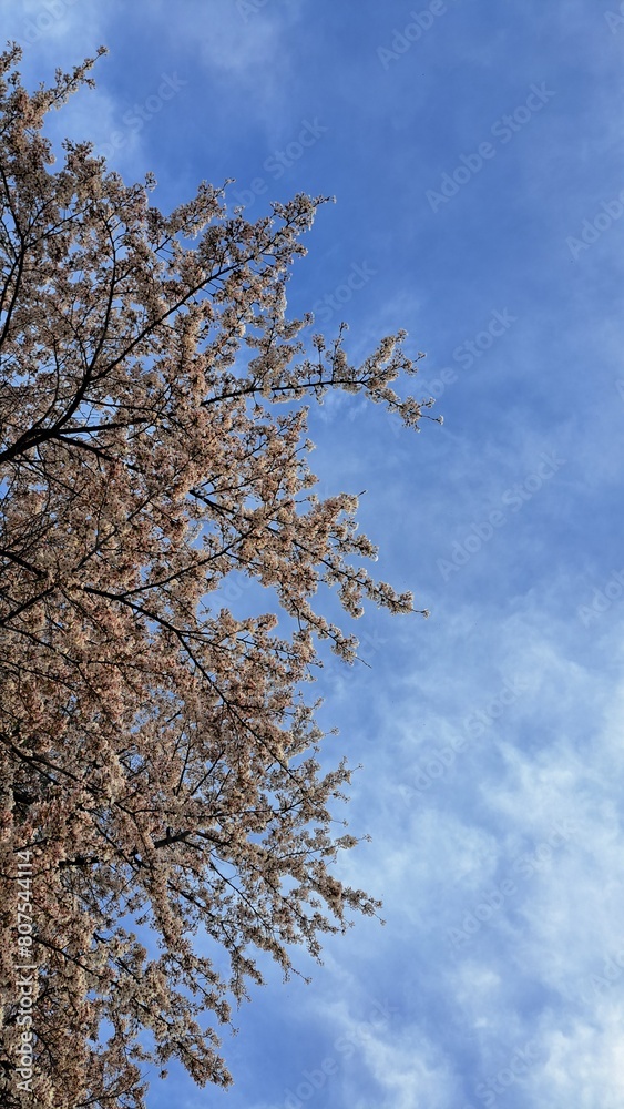 空と八ヶ岳 空と八ヶ岳