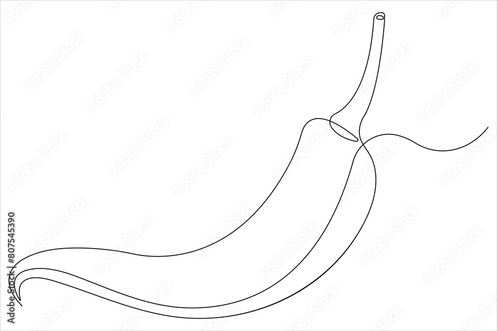 Hot spice chili pepper in continuous one line art drawing of style vector illustration Hot spice chili pepper in continuous one line art drawing of style vector illustration