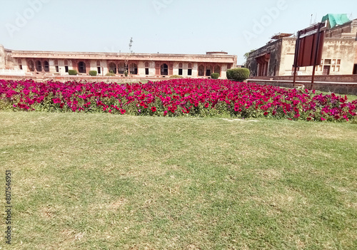 Wallpaper Mural garden in the shahi qila lahore pakistan Torontodigital.ca