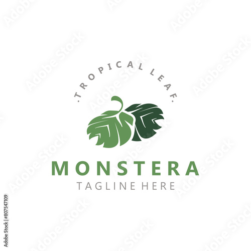Monstera deliciosa leaf nature logo design, flat plant icon design illustration template