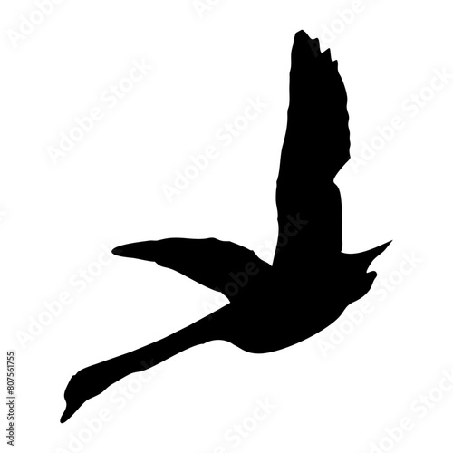 black silhouette of a swan or duck