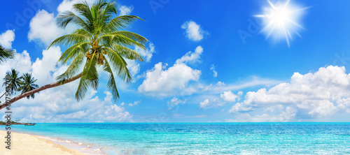 Fototapeta Naklejka Na Ścianę i Meble -  Tropical island paradise sea beach, ocean water, green coconut palm tree leaves, sand, sun blue sky cloud, beautiful nature panorama landscape, Caribbean, Maldives, Thailand, summer holidays, vacation