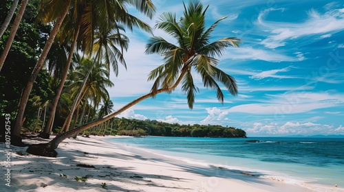 A tropical beach with palm trees swaying in the breeze