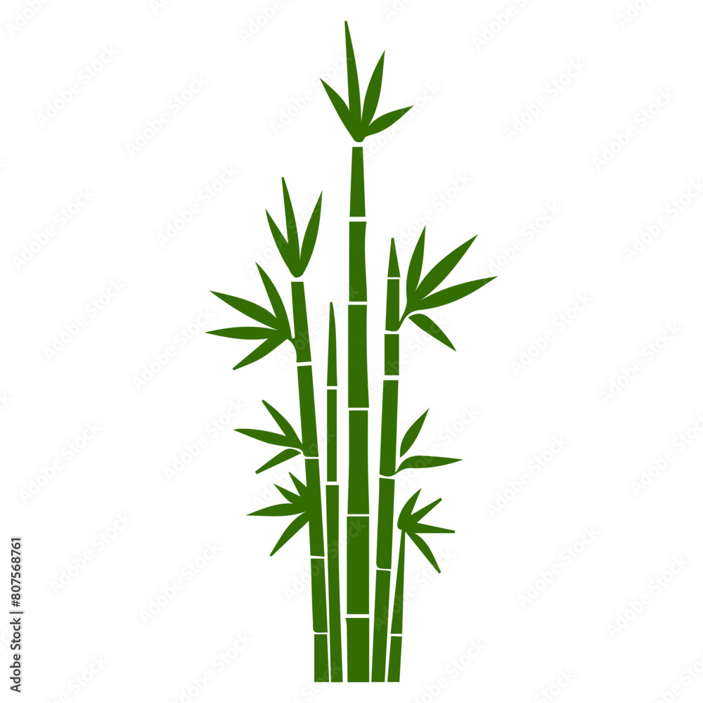 Obraz premium Bamboo forest flat design