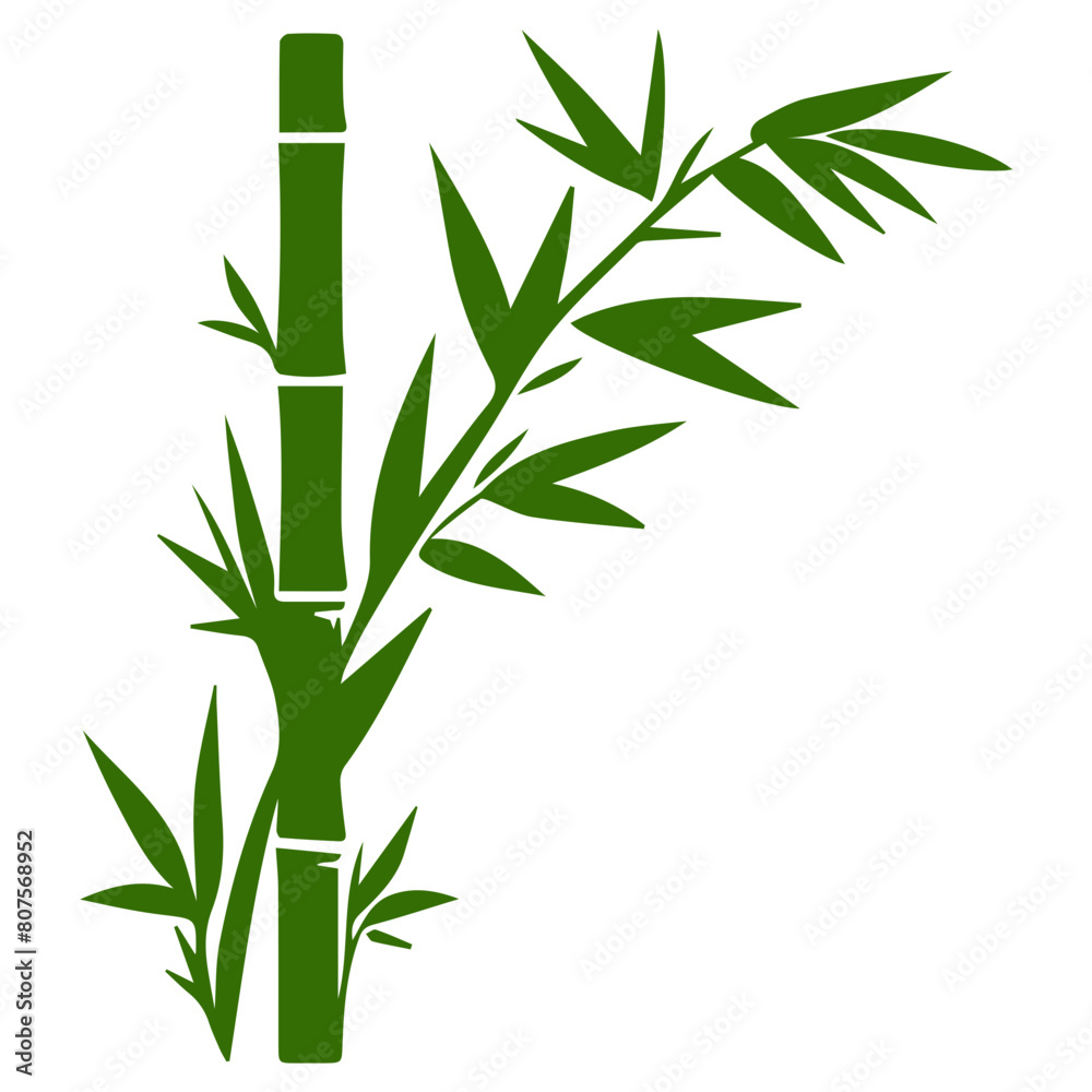 Fototapeta premium Bamboo forest flat design