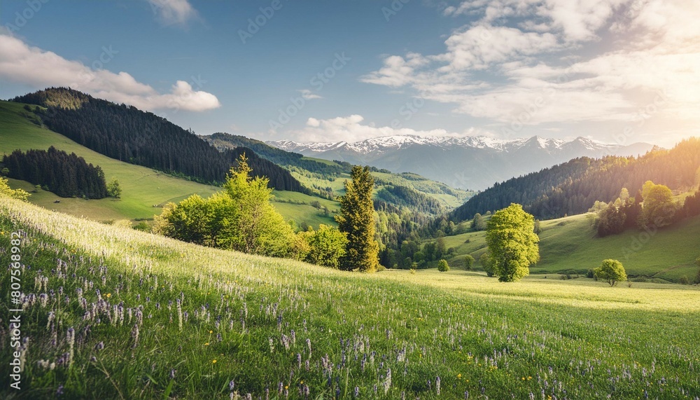 Idyllic mountain panoramic landscape. Fresh green meadows and blooming wildflowers, sun ray. Beautiful nature countryside view, rural sunny outdoor natural. Bright banner nature spring summer panorama