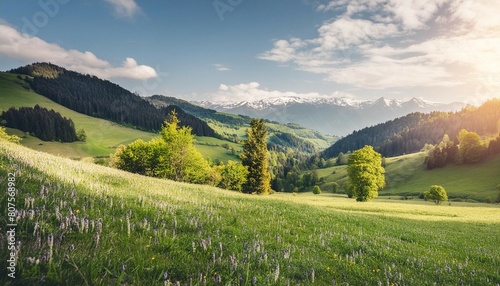 Idyllic mountain panoramic landscape. Fresh green meadows and blooming wildflowers, sun ray. Beautiful nature countryside view, rural sunny outdoor natural. Bright banner nature spring summer panorama