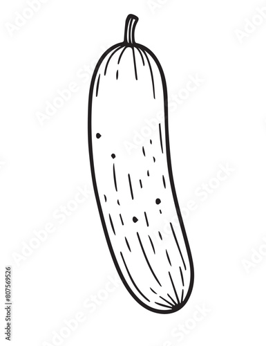 Illustration Coloring draw vegetable cucumber black and white version good for kids