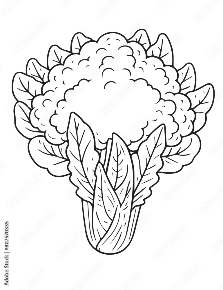 Fototapeta premium Illustration Coloring draw vegetable fresh cauliflower black and white version good for kids