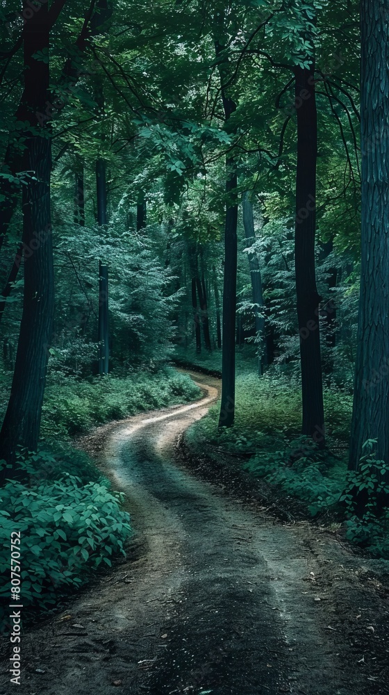 Obraz premium A path diverging into two dark forests, symbolizing a difficult decision with uncertain consequences