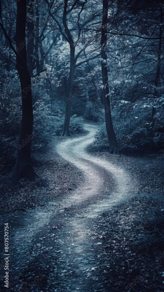 Fototapeta premium A path diverging into two dark forests, symbolizing a difficult decision with uncertain consequences