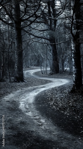 A path diverging into two dark forests, symbolizing a difficult decision with uncertain consequences © EC Tech 