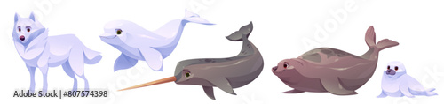 Cute toon north pole land and sea animals. Cartoon vector illustration set of polar arctic wild life characters - white wolf, swimming beluga, narwhal, big brown harbor and small baby harp seal.