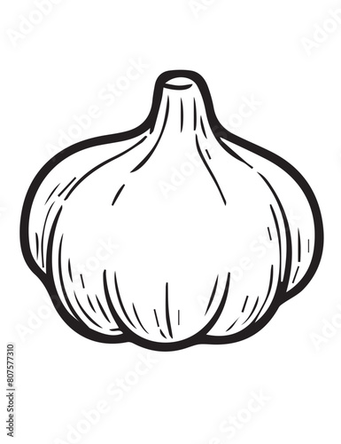 Illustration Coloring draw vegetable garlic fresh black and white version good for kids