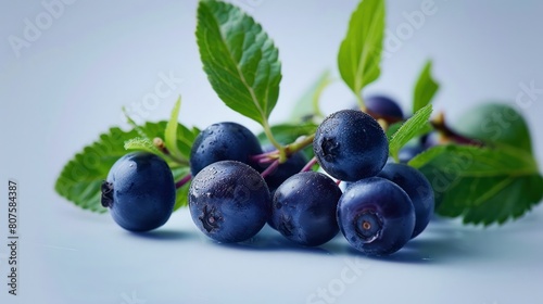 Bilberries, highlighting their vibrant blue color and antioxidant properties. 