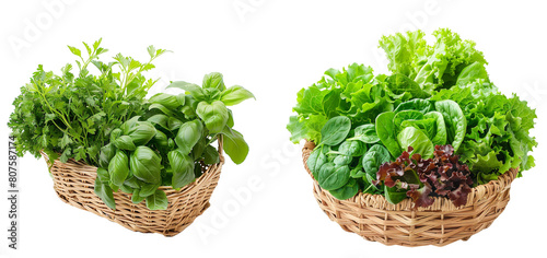Fresh herbs such as basil and cilantro arranged in a small basket, isolated on a transparent background.