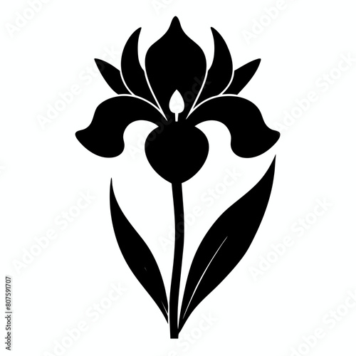 Iris Flower silhouette vector illustration isolated on a white background.