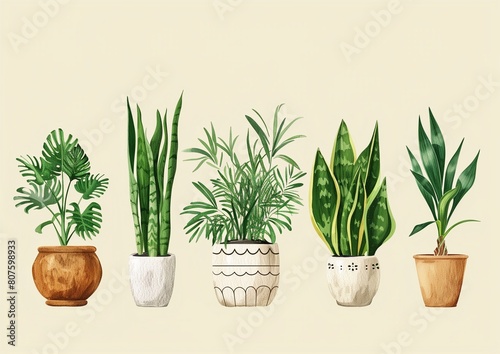 Set of Indoor Houseplants in Decorative Pots on Beige Background